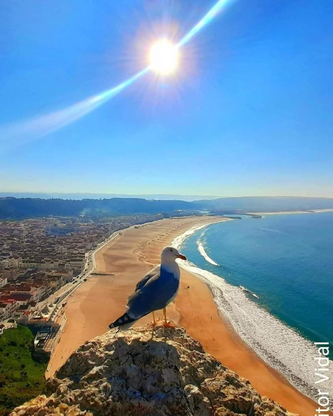 Maresia Villa Mar Назаре Екстер'єр фото